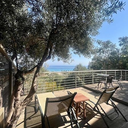 The Beach House - Apartments & Studios (Adults Only) Afytos Luaran gambar